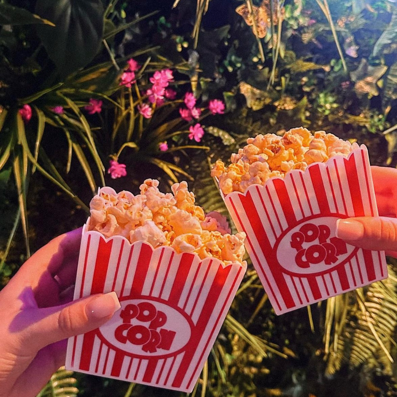Two boxes of popcorn held up in front of the enchanted forest